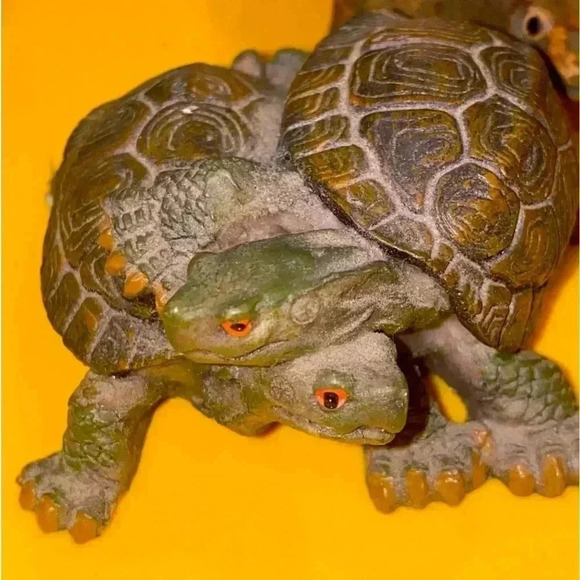 Five Miniature Turtles Collection Some Wooden Some Stone All Very Cute 🐢🐢 - Picture 7 of 16